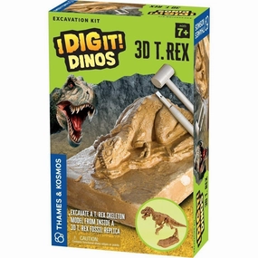 3D T. Rex Excavation Kit