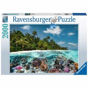 A Dive in the Maldives 2000pc