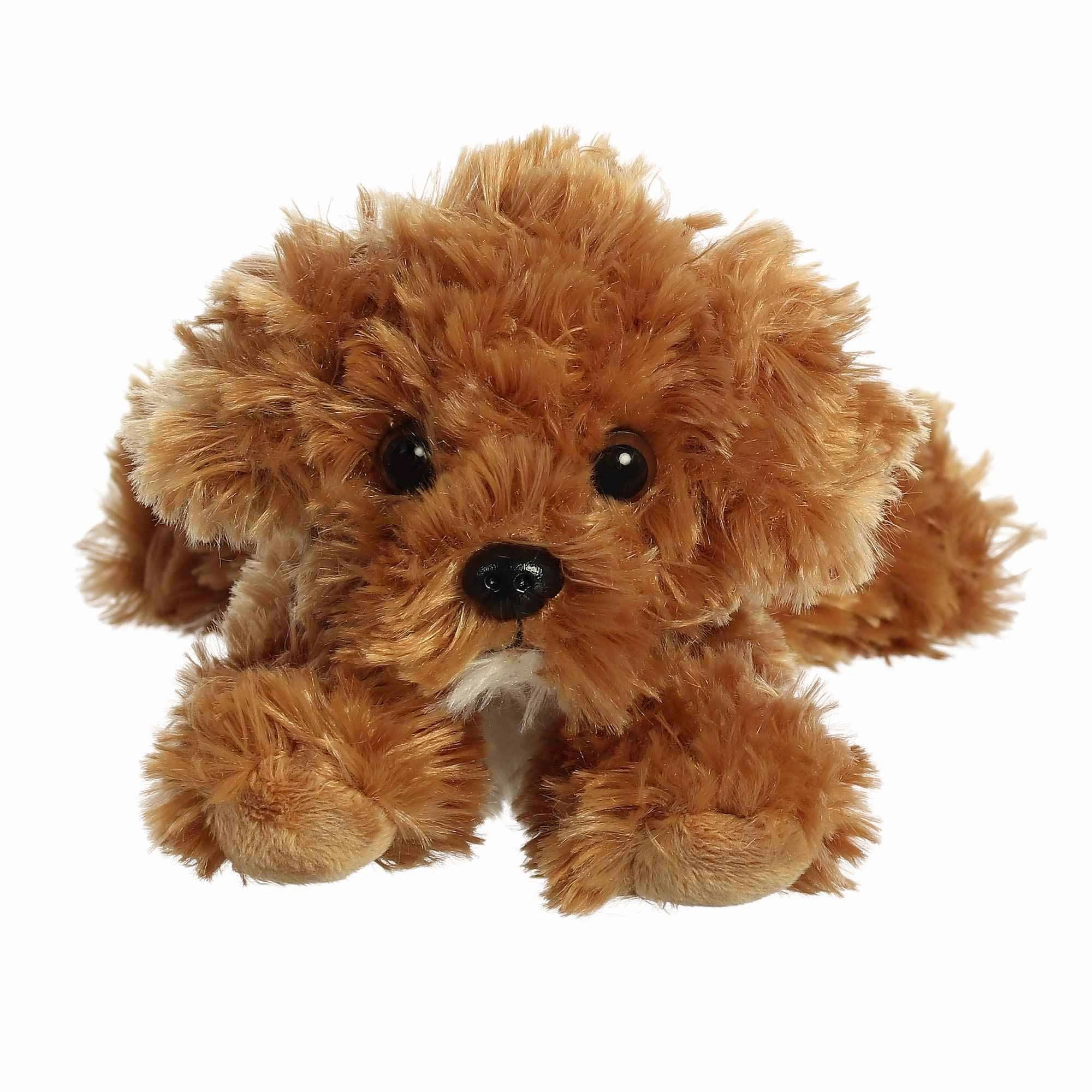 AURORA CHAI COCKAPOO