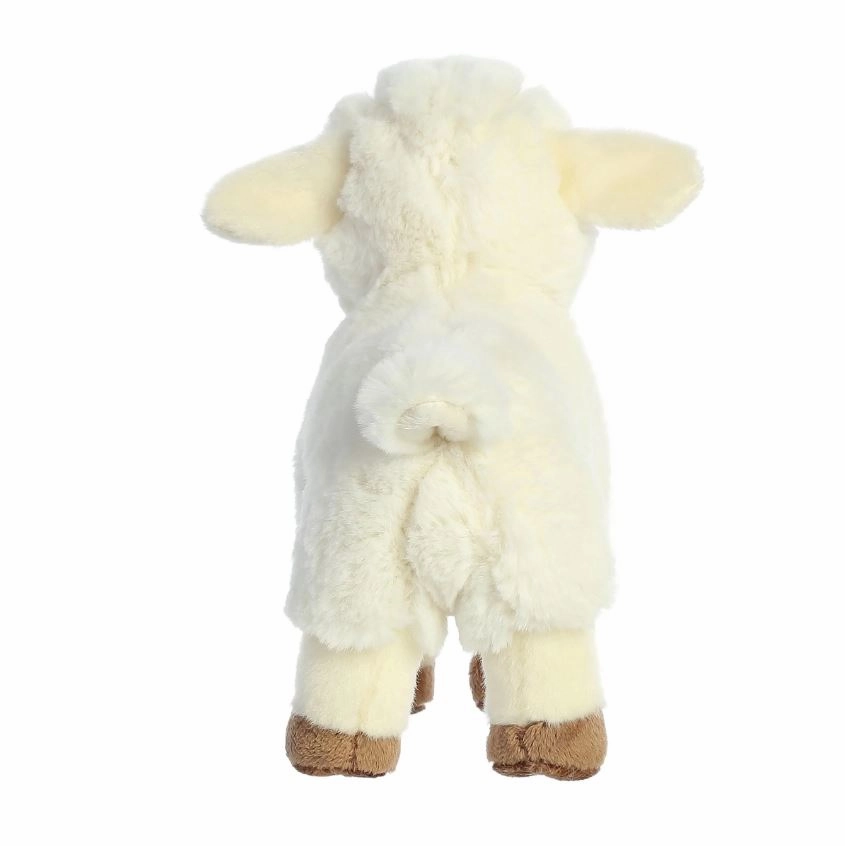 AURORA ECO NATION LAMB
