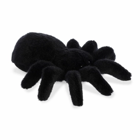 Aurora Tod Brazilian Black Tarantula