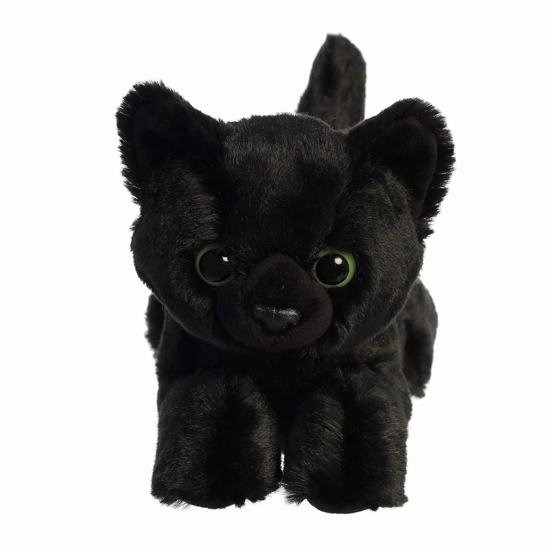 AURORA TWILIGHT CAT