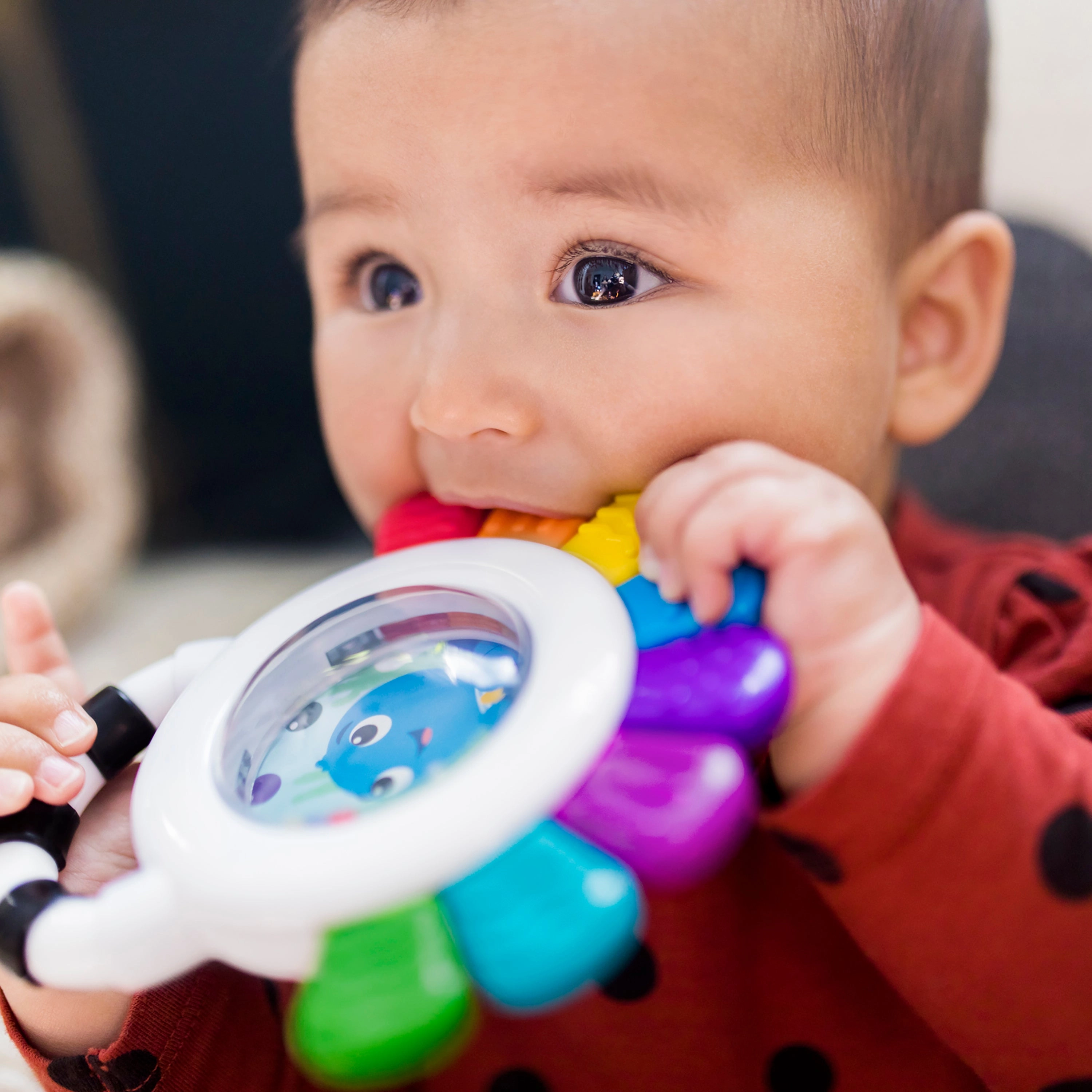 Baby Einstein Sensory Teether