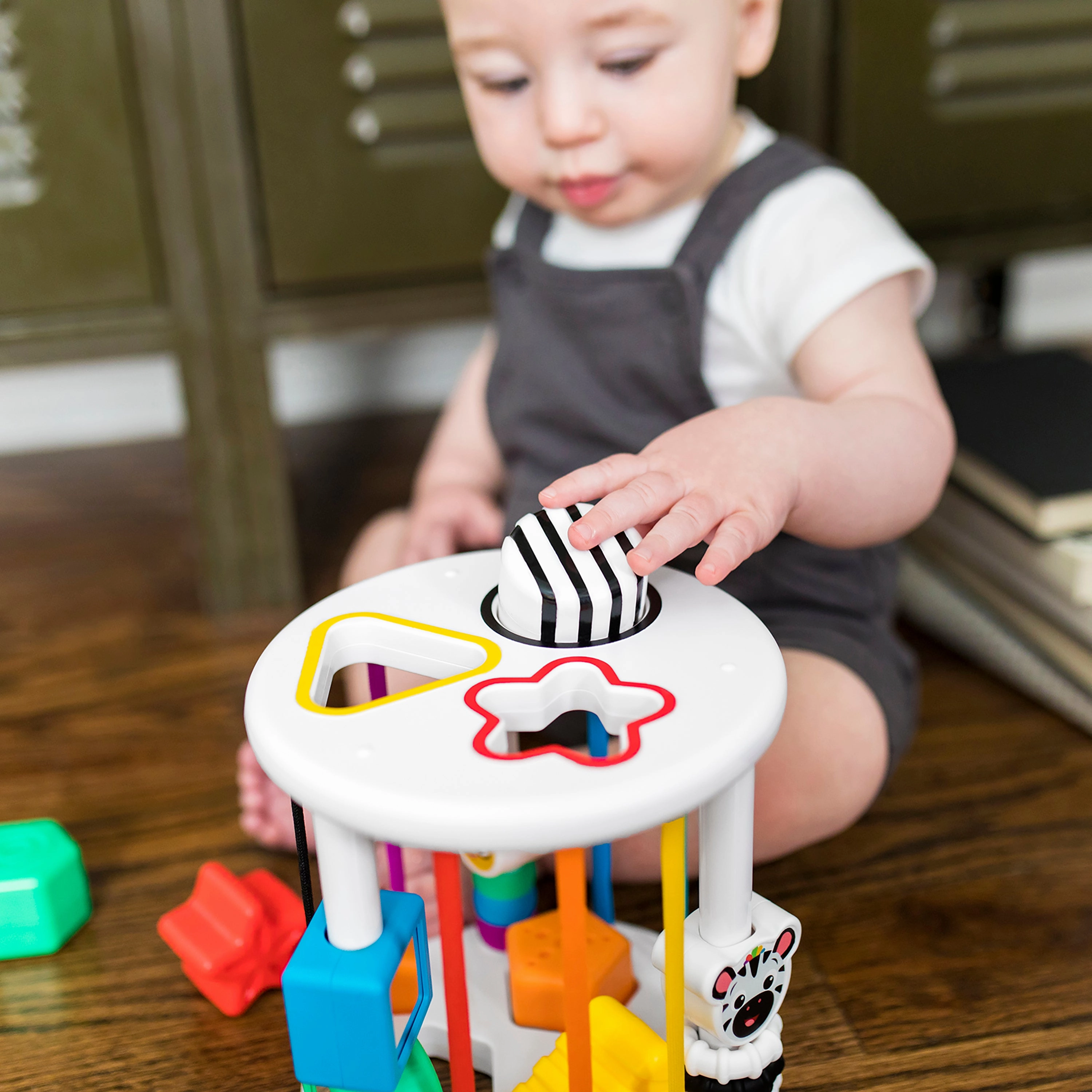 Baby Einstein Zen And Cals Playground
