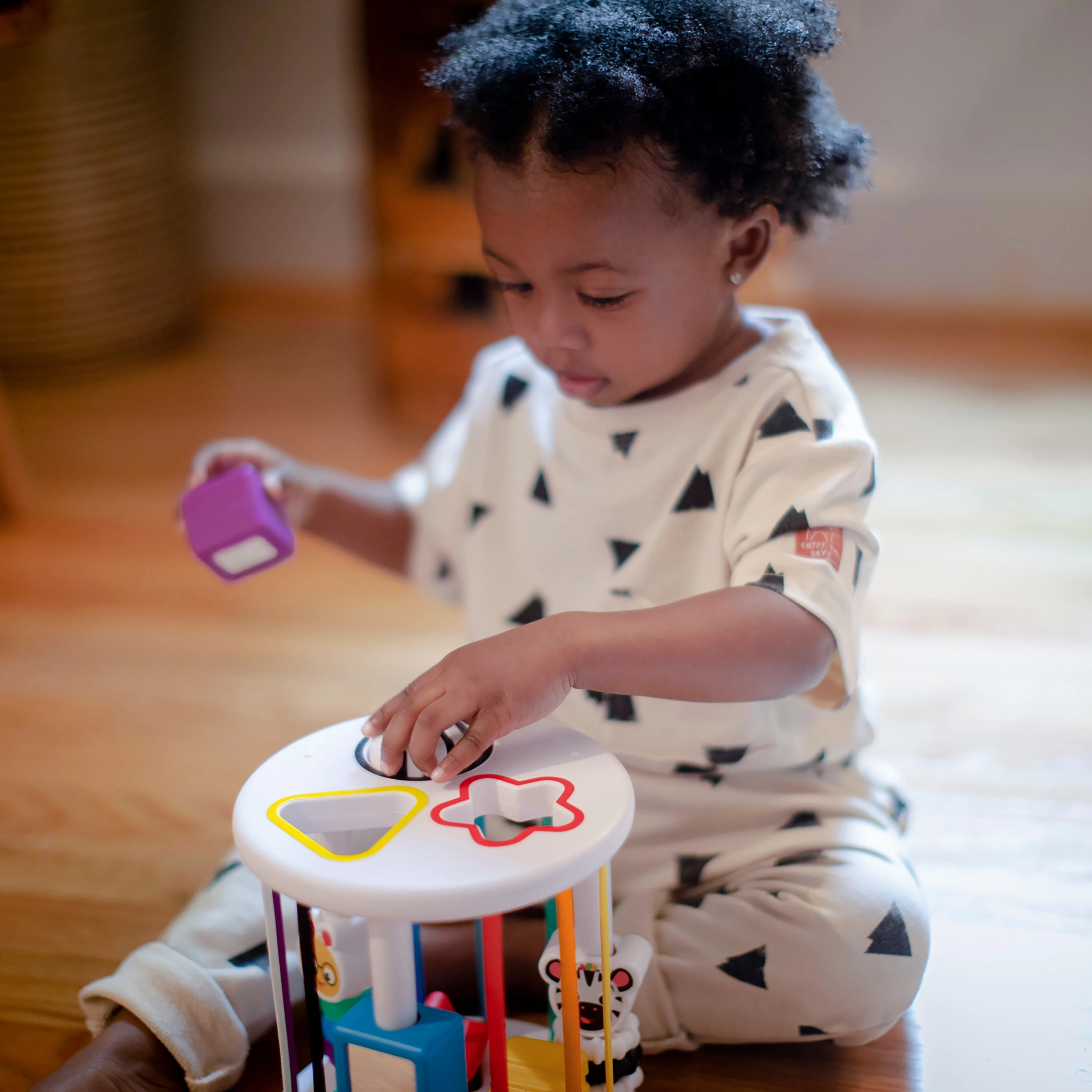 Baby Einstein Zen And Cals Playground