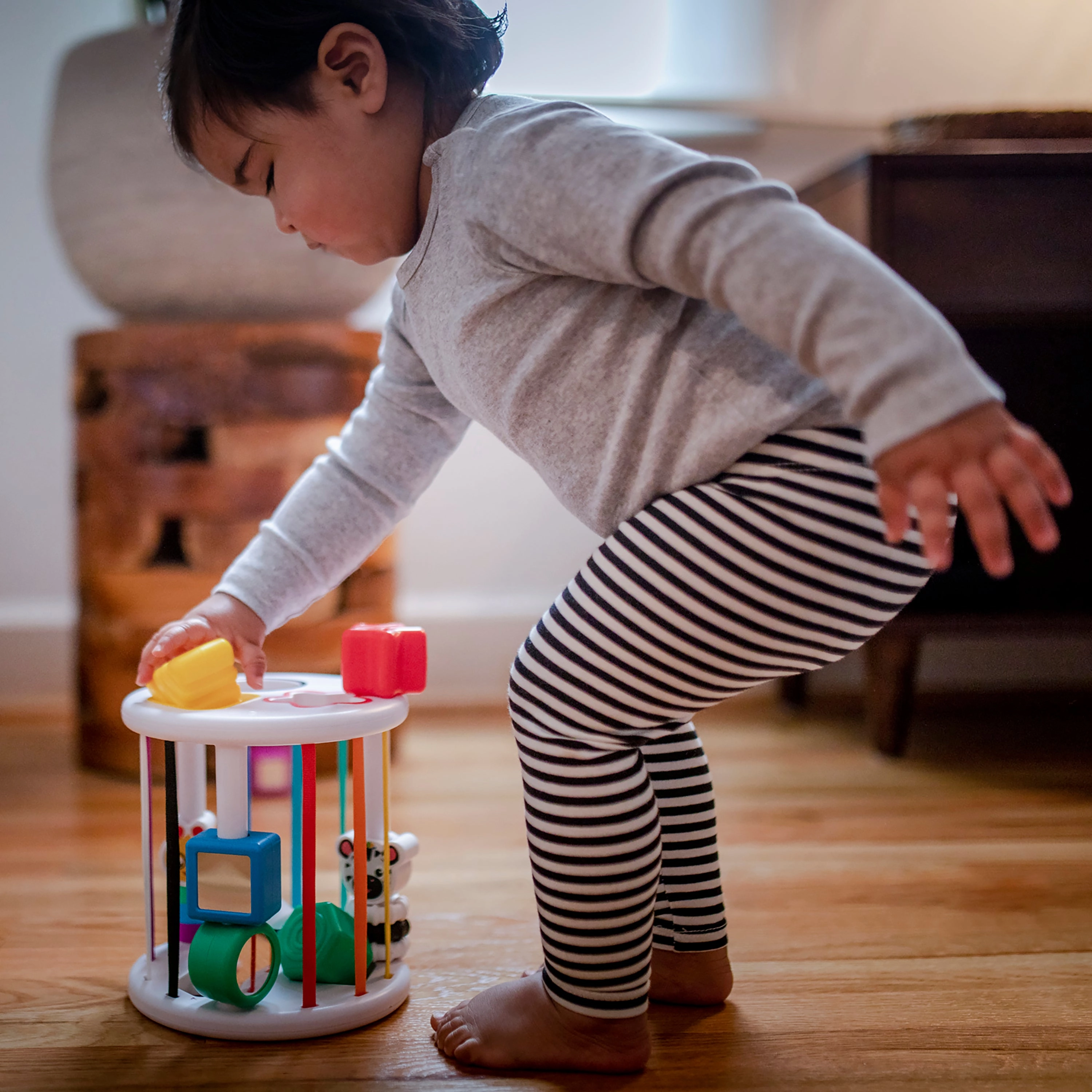 Baby Einstein Zen And Cals Playground