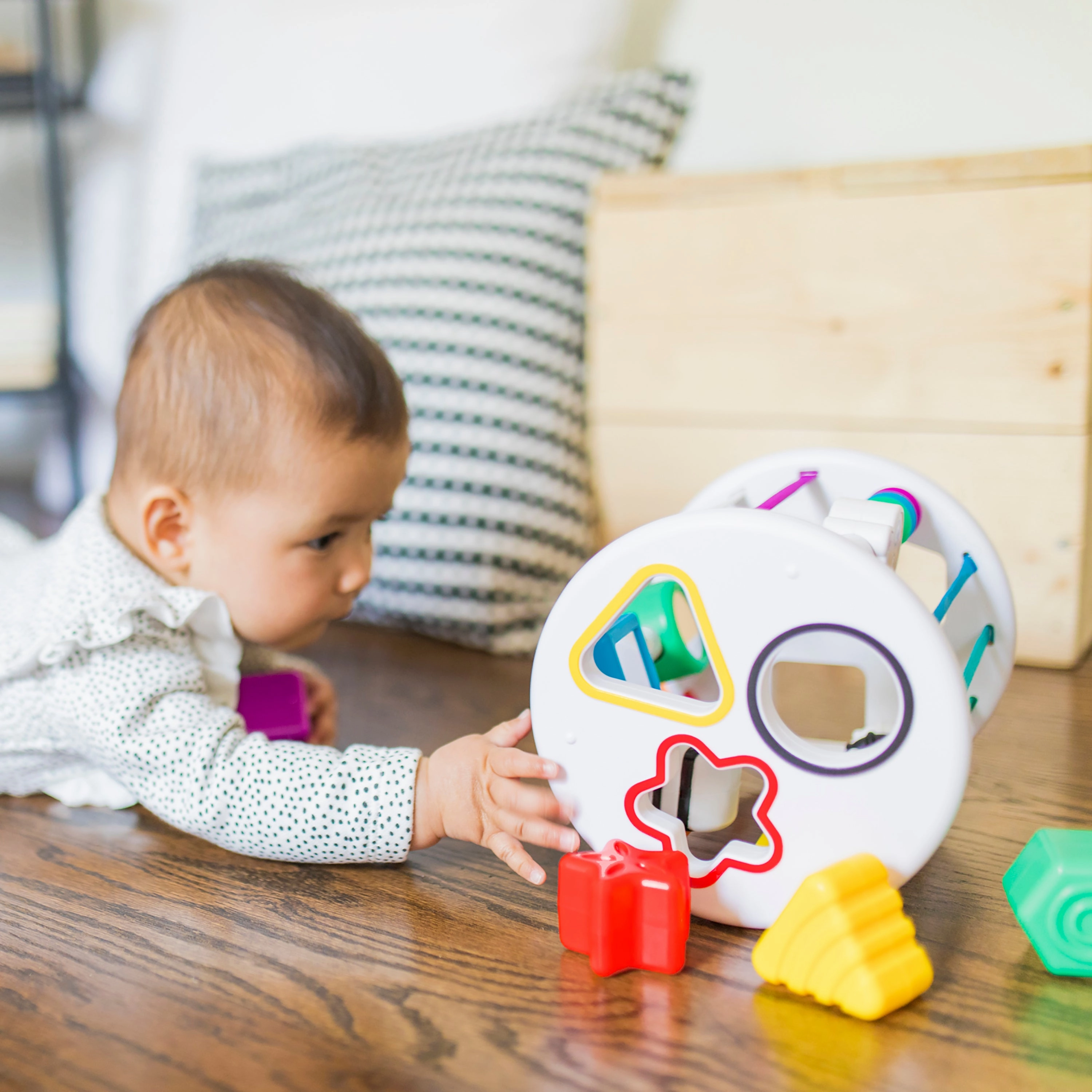 Baby Einstein Zen And Cals Playground