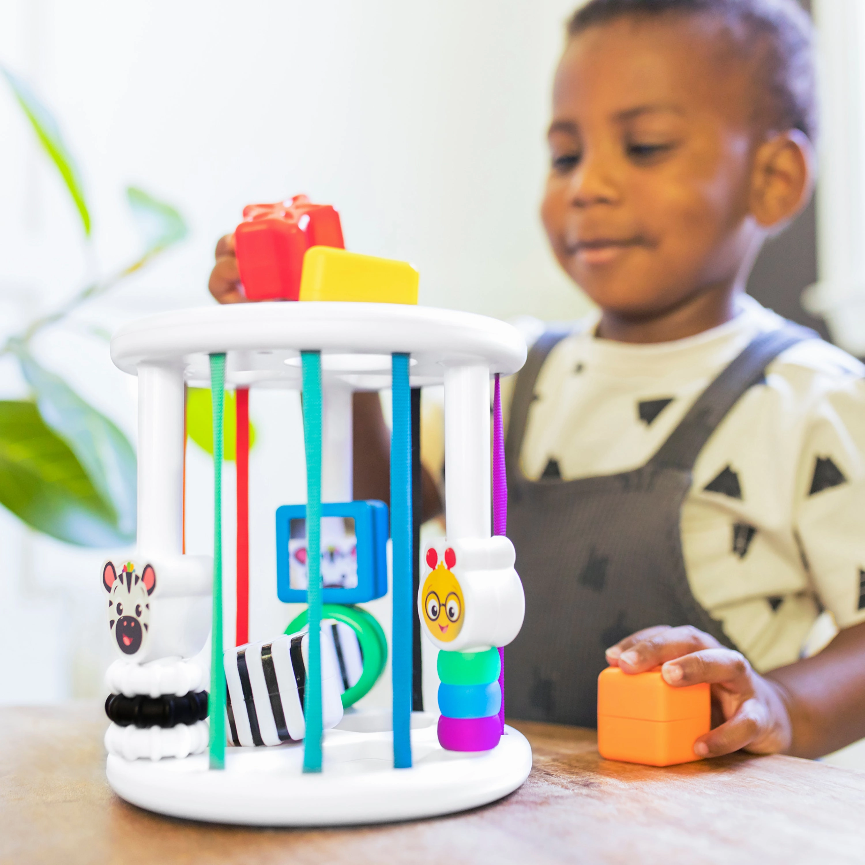 Baby Einstein Zen And Cals Playground