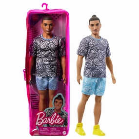 Barbie Fashionista Ken Doll - 204 Paisley Outfit
