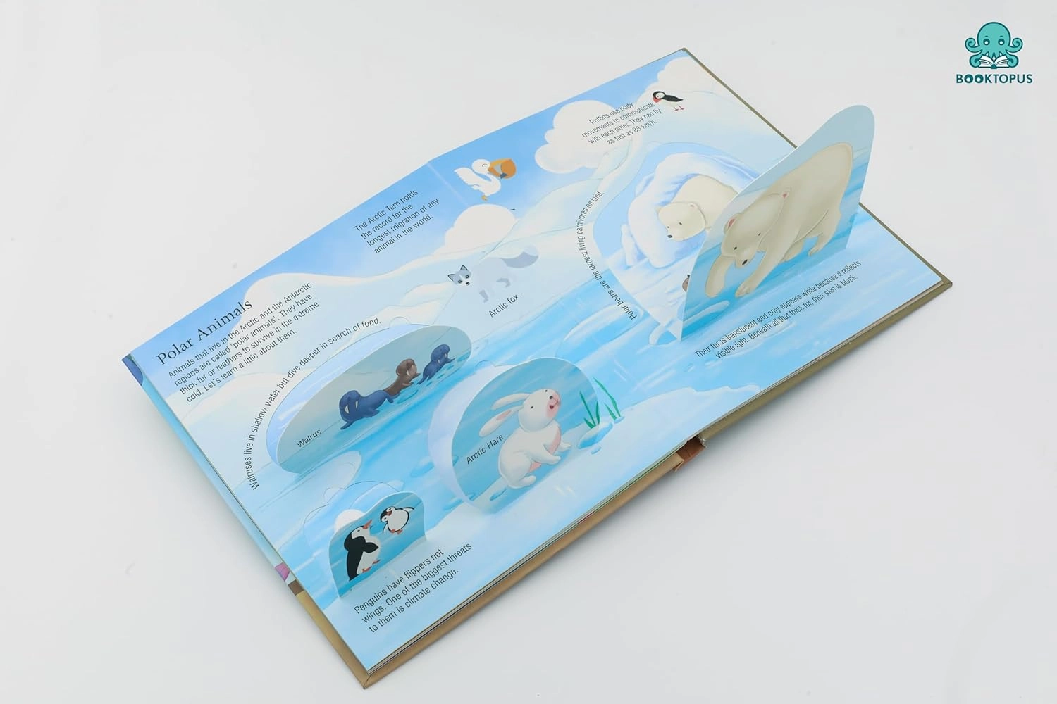 Booktopus Lift-the-Flap Learning Book - Animals and Their Habitat Knowledge Book for Kids - Interactive Learning Books 6 