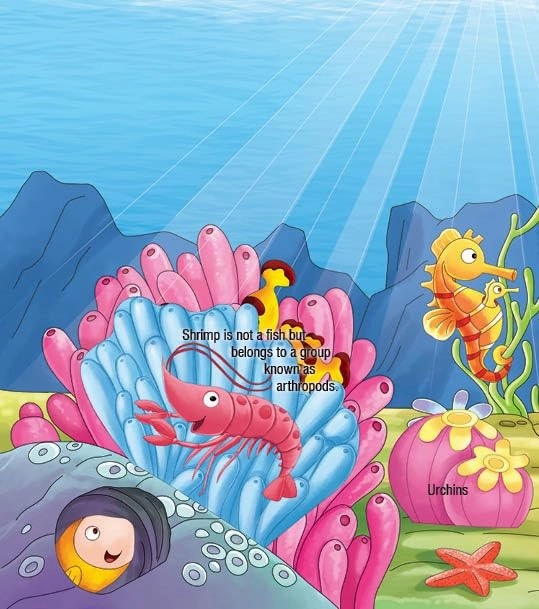 Booktopus Lift-the-Flap Learning Book - Animals and Their Habitat Knowledge Book for Kids - Interactive Learning Books 6 