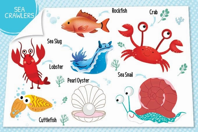 Booktopus My First 100 Things Under The Sea Mini - Early Learning Picture Books for Kids 4 