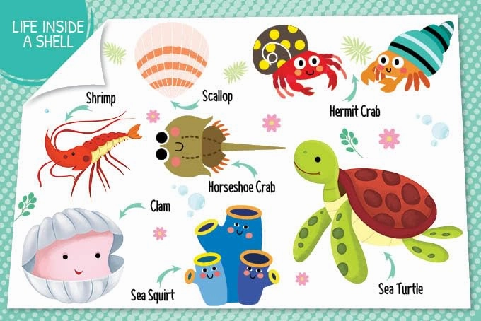 Booktopus My First 100 Things Under The Sea Mini - Early Learning Picture Books for Kids 4 