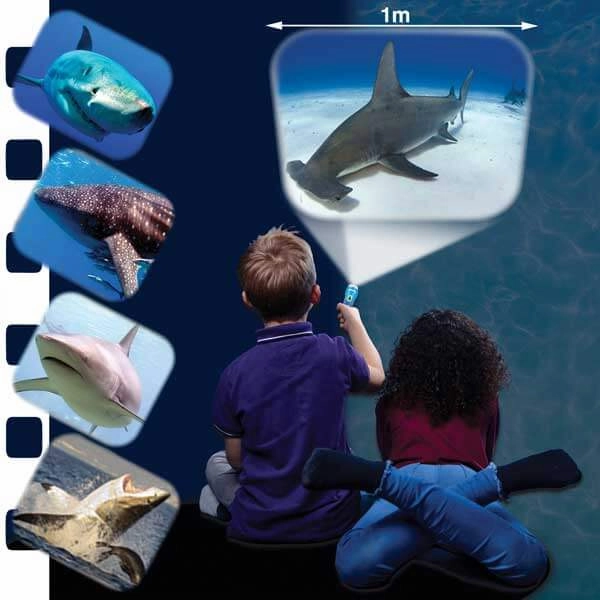 Brainstorm Shark Torch Projector STEM Toy for Children Ages 3 and Up