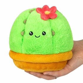 Cactus Snacker