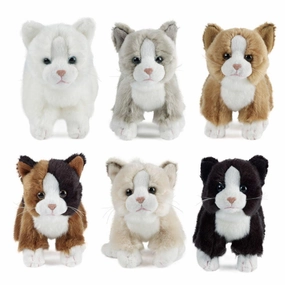 Cat Small