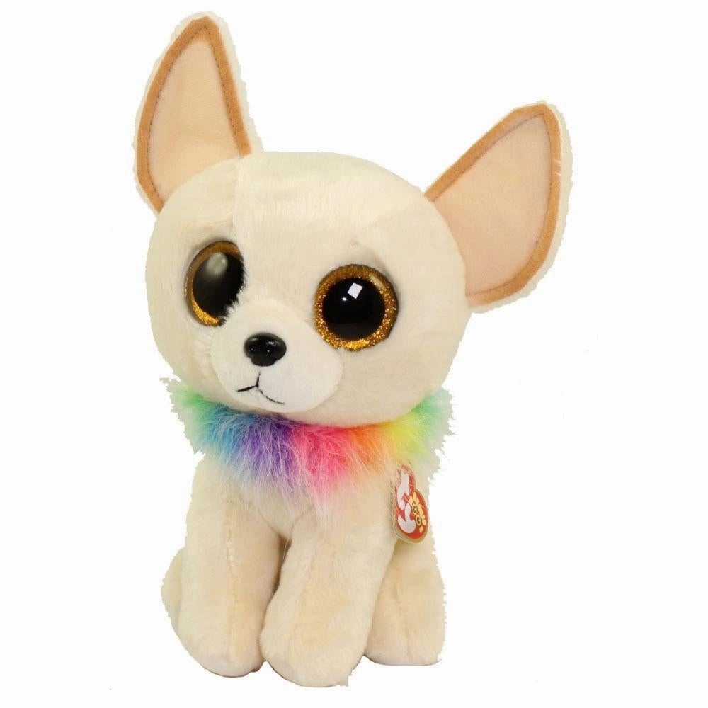 Chewey - Medium Chihuahua