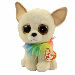 Chewey - Small Chihuahua