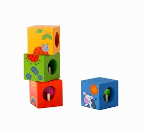 Classic World Discovery Cubes With Animal Puzzle