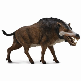 Collecta 1:20 Daeodon