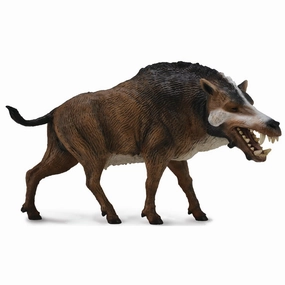 Collecta 1:20 Daeodon