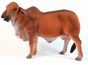 Collecta Brahman Cow Red Figure (Yellow)