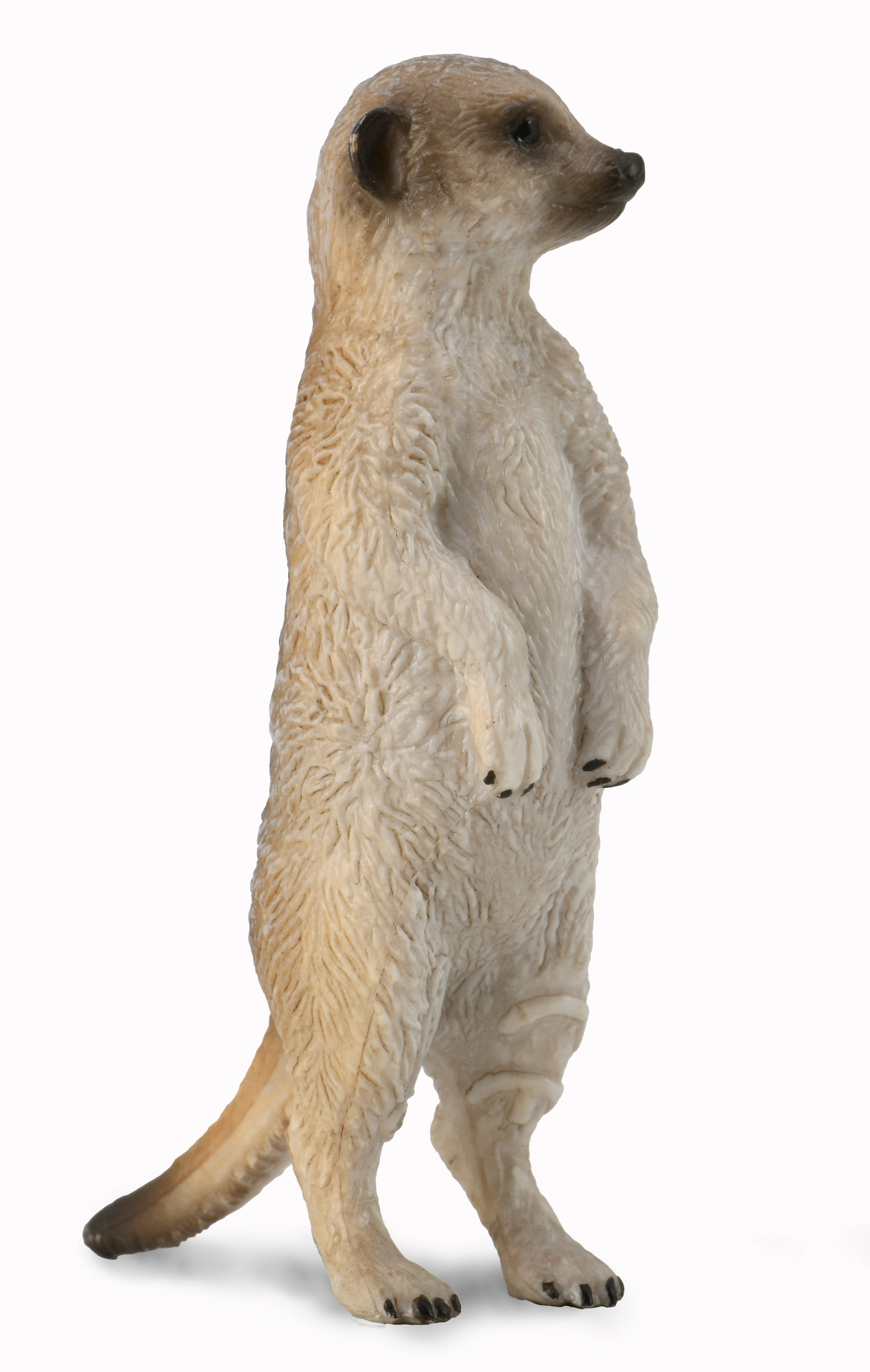 Collecta Meerkat Standing (Green)