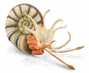 Collecta Pleuroceras Ammonite (Grey)