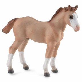 Collecta Quarter Foal Red Dun (Red)