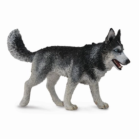 Collecta Siberian Husky (Yellow)