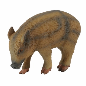 Collecta Wild Piglet Eating (Green)