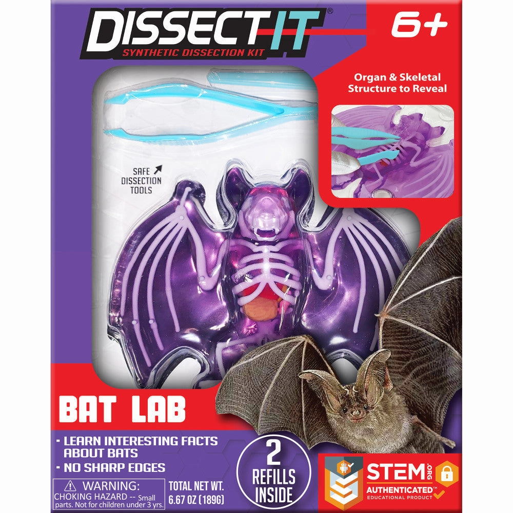 Dissect-It Bat Lab: Synthetic Dissection Kit with STEM Learning Guide for Kids Ages 6 