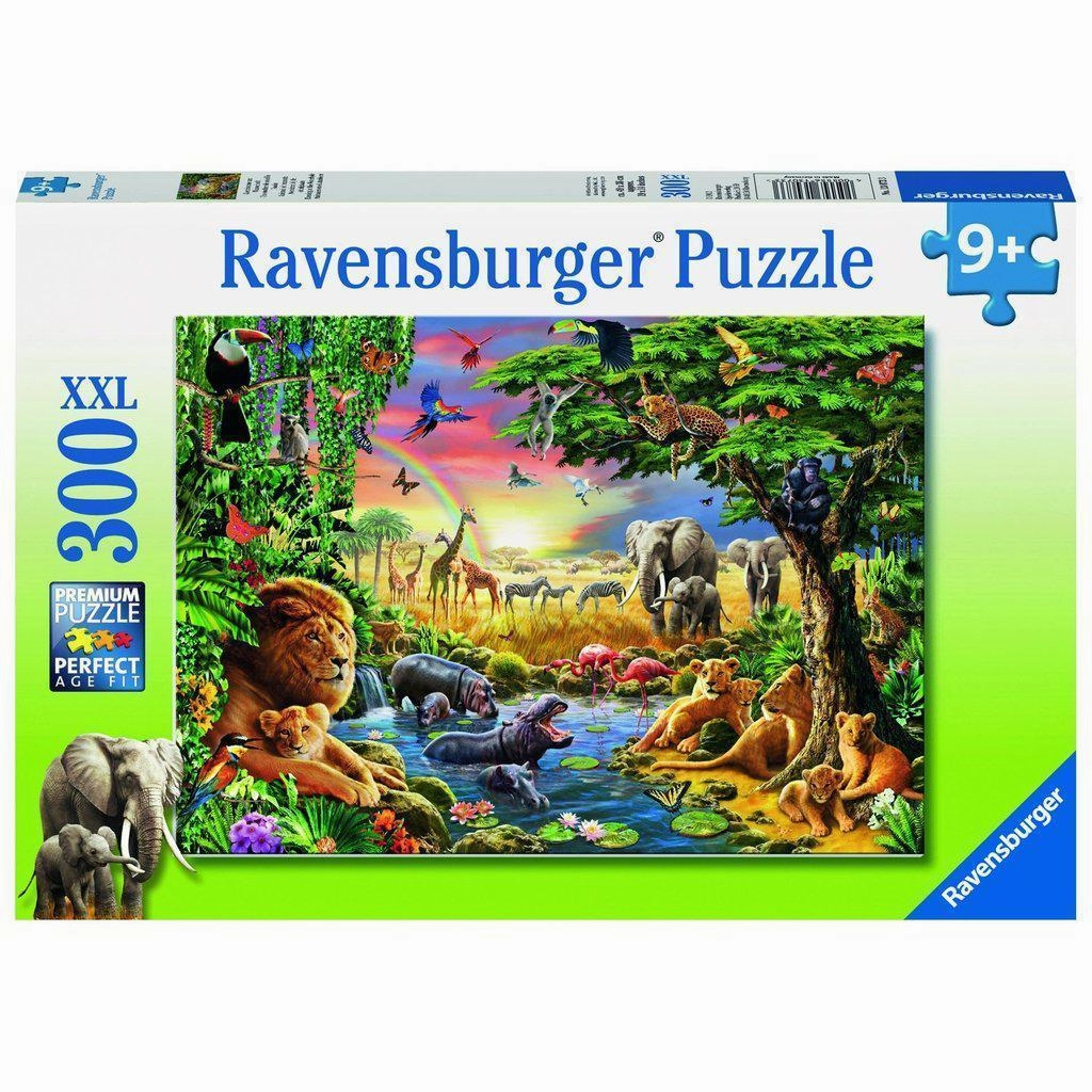 Evening at the Waterhole