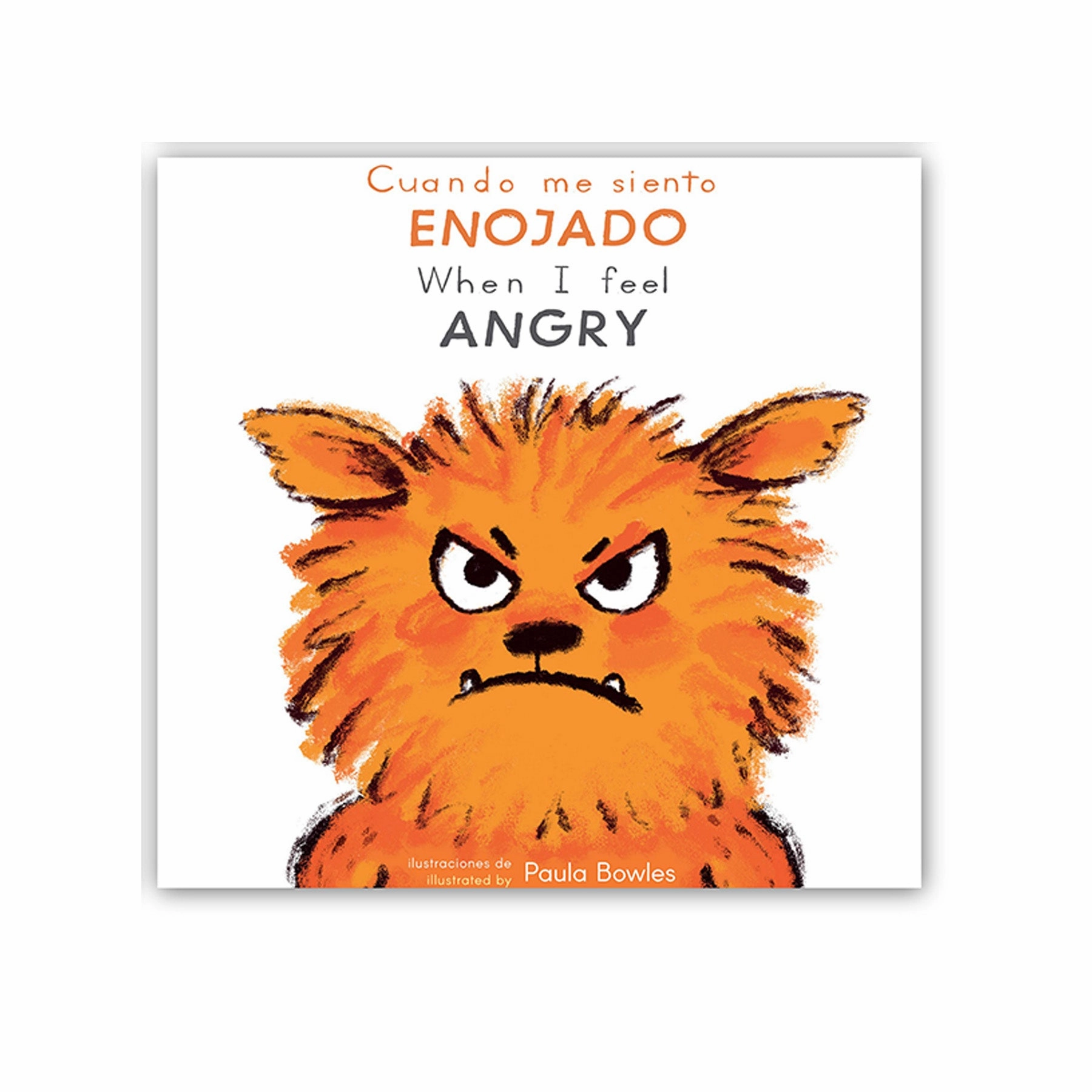 First Feelings: Bilingual Spanish & English 6-Book Set for Toddlers