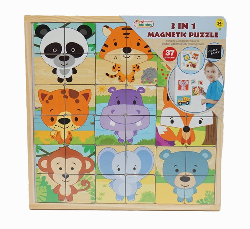 First Learning Wooden Magnetic Puzzle