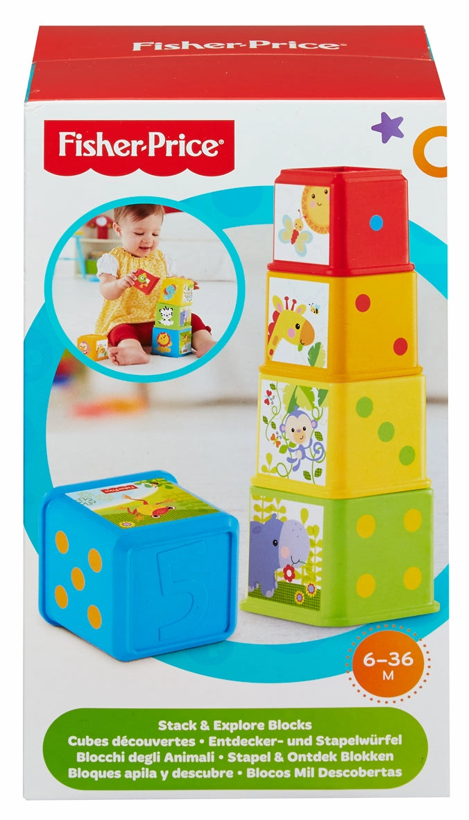 Fisher-Price Stack & Explore Blocks