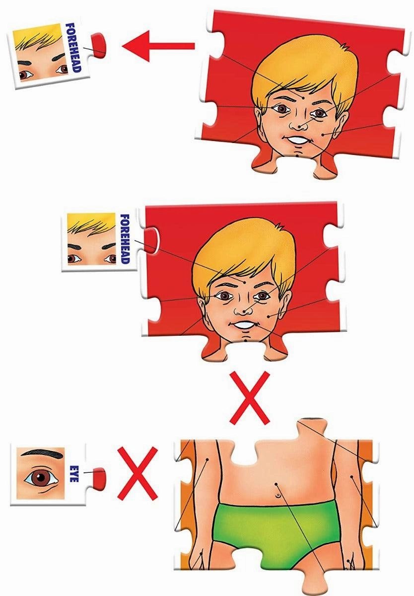 Frank Parts of My Body Jigsaw Puzzle