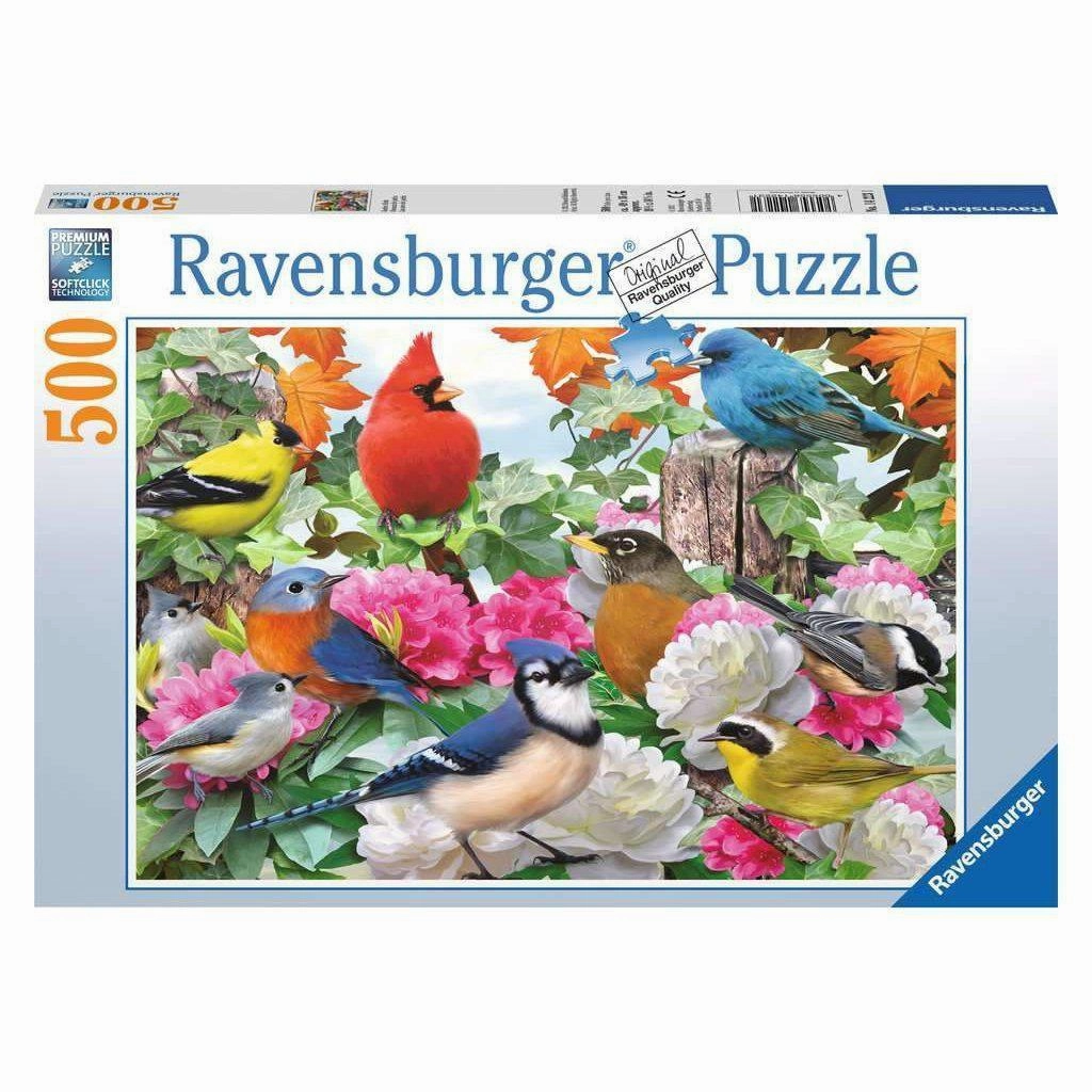 Garden Birds