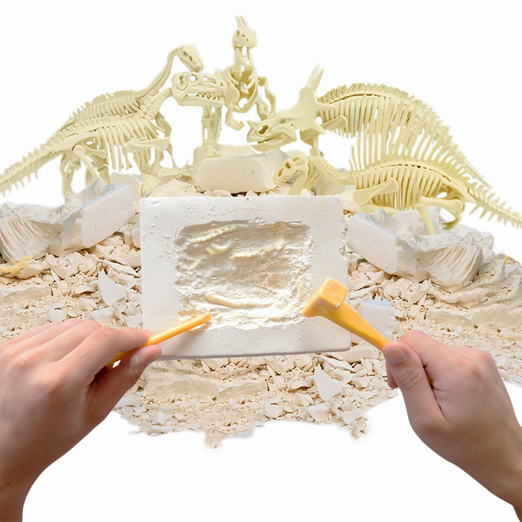 HamiltonBuhl Triceratops Rex Paleo Hunter Dig Kit - STEAM Education Set