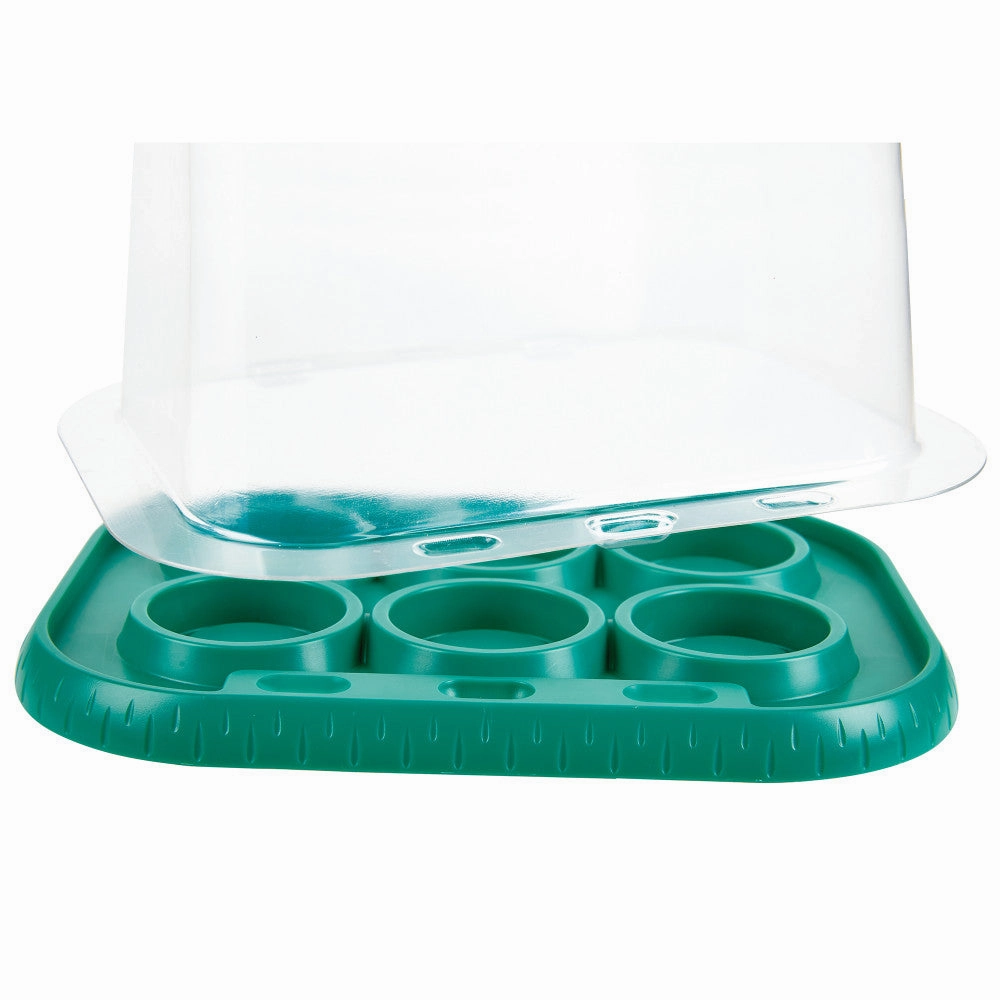 Hape Nature Fun Growing Gardeners Greenhouse Kit, Kids Ages 4 