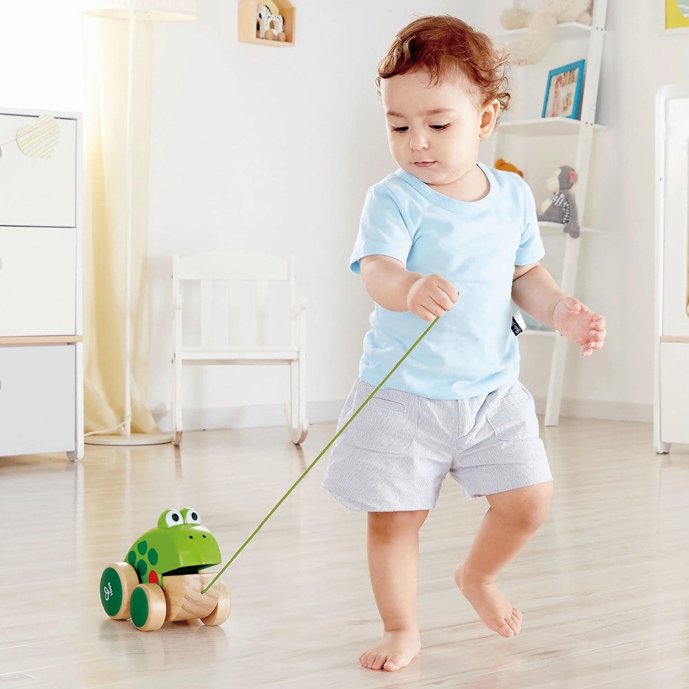 Hape Pull Along Frog  Vibrant Green Wooden Toy