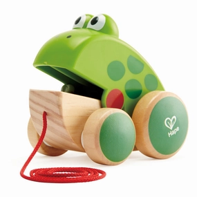 Hape Pull Along Frog  Vibrant Green Wooden Toy