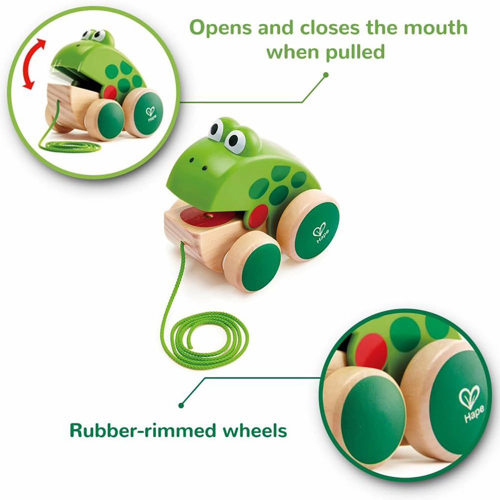 Hape Pull Along Frog  Vibrant Green Wooden Toy