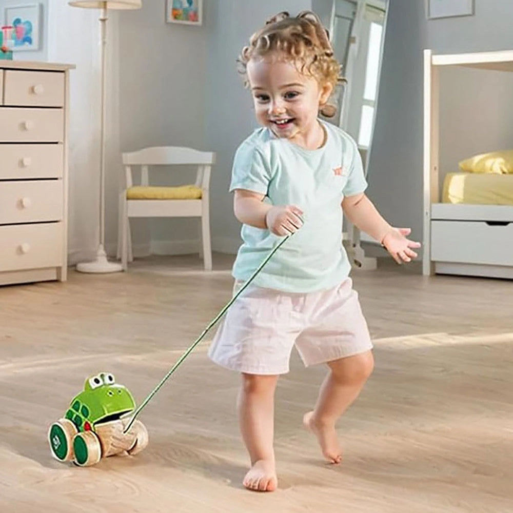Hape Pull Along Frog  Vibrant Green Wooden Toy