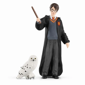 Harry & Hedwig