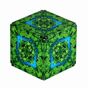 Jungle Shashibo