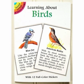 Learning About Birds