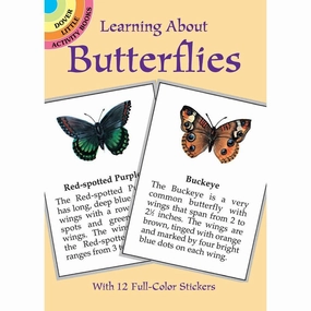 Learning About Butterflies