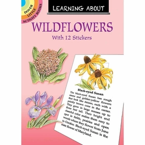 Learning About Wildflowers