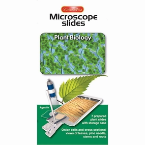 Microscope Slides: Plant Biology